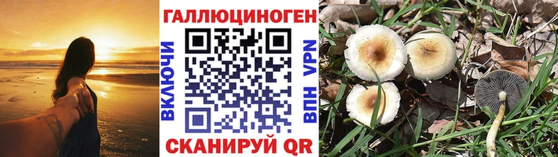 Псилоцибиновые грибы мицелий  KRAKEN как зайти  Лабытнанги 